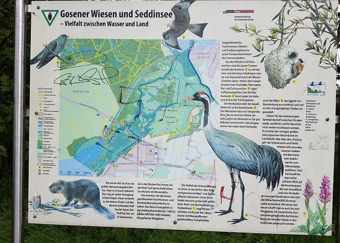 Gemütliche Idylle am Seddinsee